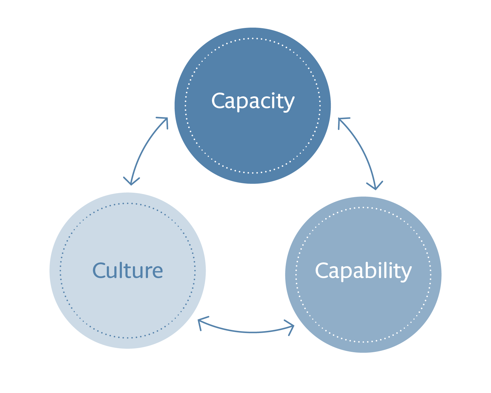 Diagram 3 - Capacity and capability